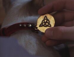 Charmed Triquetra Cat Collar