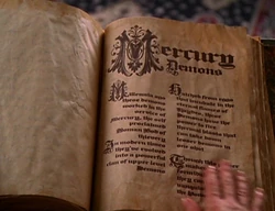The Mercury Demons entry in the Book of Shadows
