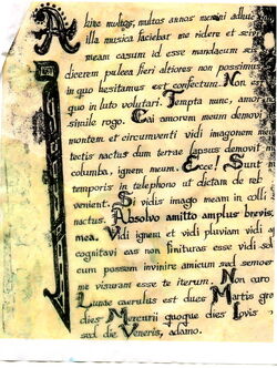 LatinNellScan1