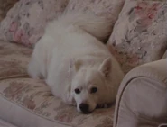 Rasputin.jpg (23 KB)