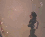 PrueAgility.gif