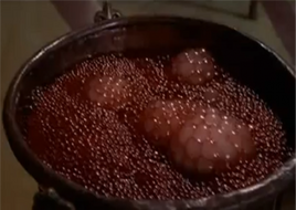 Zira's potion