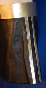 BeltOfGaeaSkirt2.jpg (25 kB)