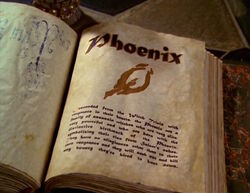 The entry on the Phoenix