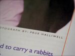 Photograph by Prue Halliwell