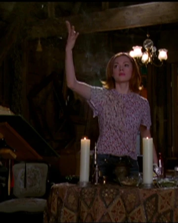 Prue Halliwell S Animal Conjuring Spell Charmed Fandom How to connect with your everyday angels. prue halliwell s animal conjuring spell