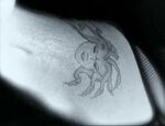 4x11-Premonition-Tattoo