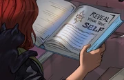 The entry in Aidel's family spell book.