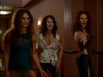 The Charmed Ones infected