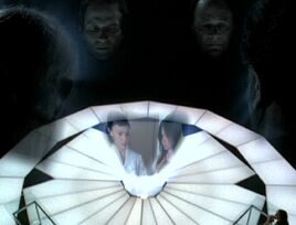 6x19-Tri4