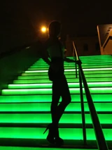 Rosevienna.jpg (76 KB) In Vienna, March 14, 2012