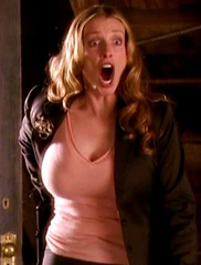 In the Attic of the Manor, Sheridan yells seconds before being hit by Zankou's energy ball - the last we see of Sheridan