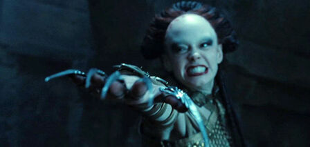 RoseConan.jpg (36 KB)