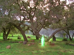 The Green Meadow, Home of the Leprechauns