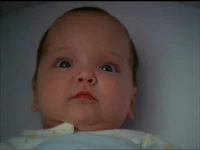 Wyatt CH.jpg (112 KB) Wyatt in Cat House