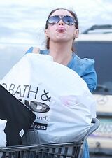 RoseBBB4.jpg (137 KB)