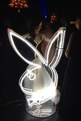 Roseorangebunny.jpg (61 KB)