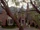 The van Lewen Estate