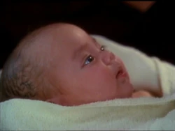 Wyatt Halliwell The Charmed Legacy Wiki Fandom