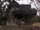 Finn and Gammill's Home