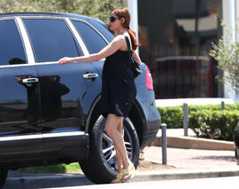 Roseneil4.jpg (1.11 MB)