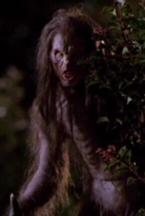 TheWendigo