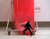 The ninja is alive