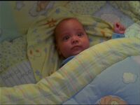 Wyatt NJWHF.jpg (145 KB) Wyatt in Nymphs Just Wanna Have Fun