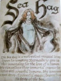 The Sea Hag Entry