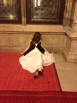 RoseInsideOrangeBallFinal.jpg (100 KB)