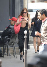 Roseparis12.jpg (68 KB)