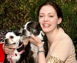 RosePuppies.jpg (62 KB) With her puppies