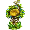 Sylvan's Story