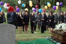 Season 2 | Chasing Life Wiki | Fandom