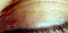 Tumblr n5mqr0ELv71r5s427o2 250