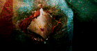 Lunapic 137158421719519 1