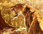 Smilodon2