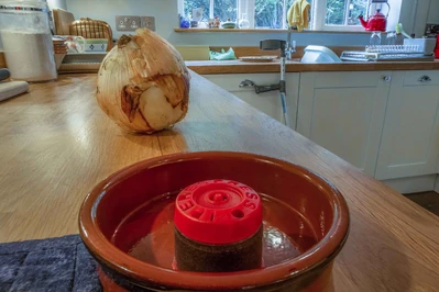 2020-08-21 15-05-30 (B,Radius8,Smoothing1)