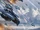 Talon Shrike