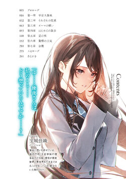 Light Novel Volume 8, Cheat Musou Wiki