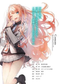 Light Novel Volume 13, Cheat Musou Wiki