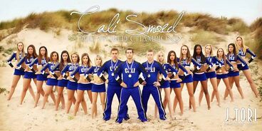 Smoed 2013 champions