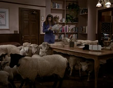 Sheep prank