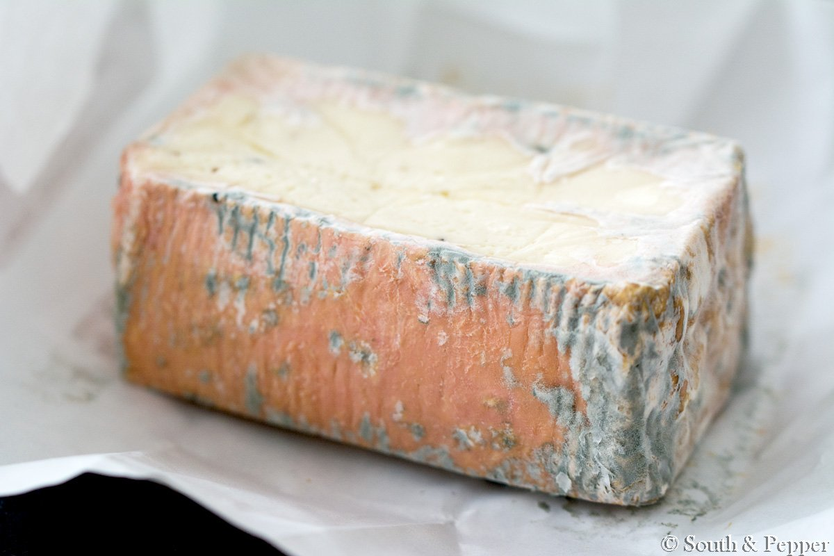 Taleggio Cheeseland Wiki Fandom