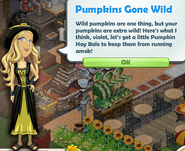 Pumpkins Gone Wild