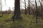 Graveyard in a nameless village. All the crosses have the same name: Smirnov.