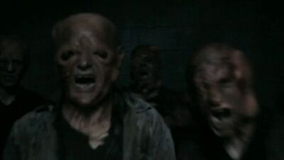 Chernobyl Diaries Wiki Fandom He hates the way his clan squeezes the money from the population and the frontier diary ~motokizoku no isekai henkyo seikatsu nikki~. chernobyl diaries wiki fandom
