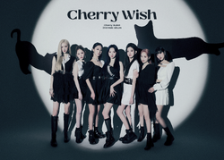 CherryBullet レミ ヨントン特典直筆サイントレカ(アルバム付き