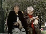Chespirito8028b 480