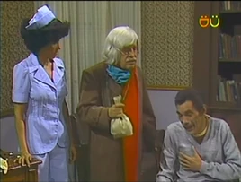 El gato (1981)